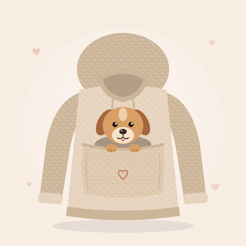 Pouch hoodie illustration